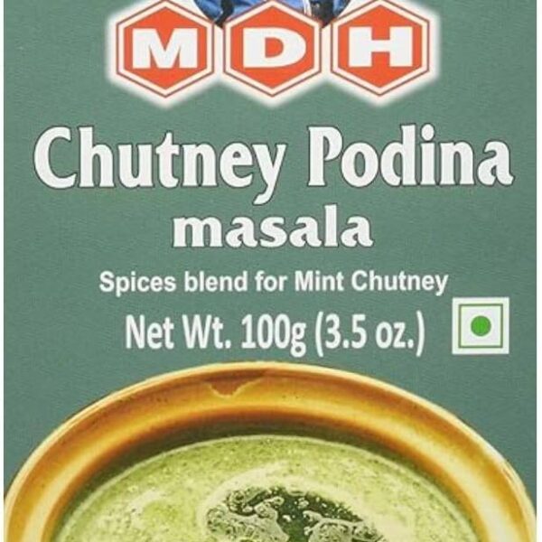 MDH Chutney Podina Powder 100g