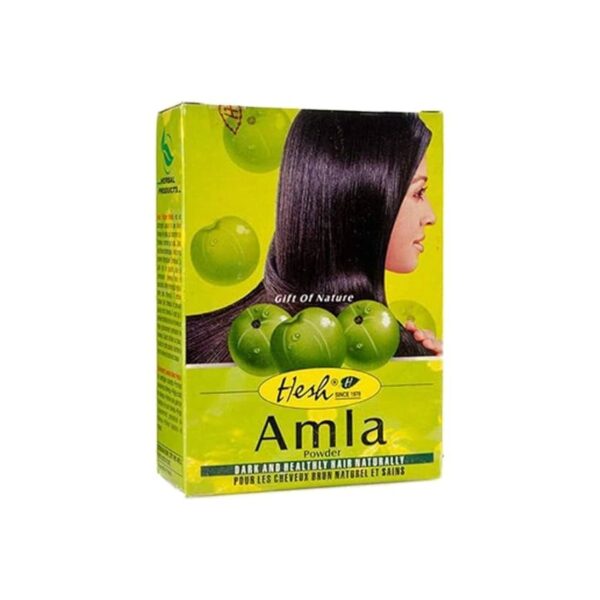Hesh Amla Powder 100G