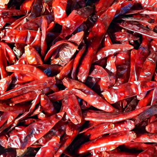 Red Chilli Whole 100g