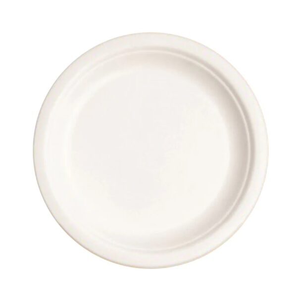 Biodegradable Plate Round 12 inch