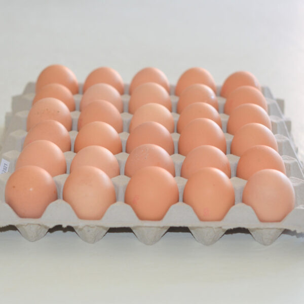 Free range Extra large Eggs 30 pack Best Before  26/03/2026