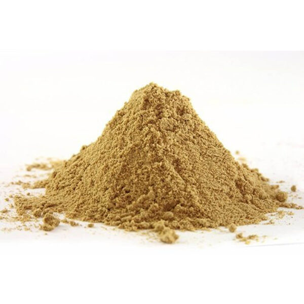 Ginger Powder 100g indya