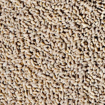 Barley Pearled 1kg