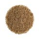 AJWAIN SEEDS 250G