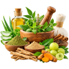 Ayurvedic_Herbal_Remedies_Still_Life-removebg-preview
