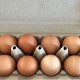 Cage Free x large Eggs 700gm 12 Pack