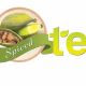 Spice-Tea-Chai-3.png